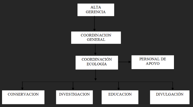 Linea estrategia